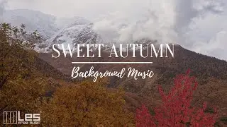 Sweet Autumn : Acoustic Band Peaceful Sentimental Background Music
