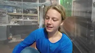 Pet rats bonding time