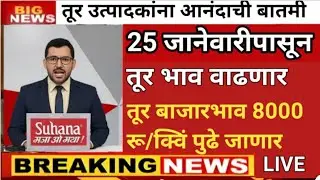 Tur Market तुर बाजारभाव 25जानेवारी नंतर वाढणार Tur bhav 2025|महाराष्ट्र तूर भाव|Tur Bhav| तुर भाववाढ