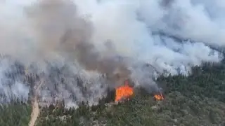 Wildfire ravages massive section of Argentine forest | AFP