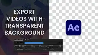 Export Transparent Videos in After Effects - Quick Tutorial