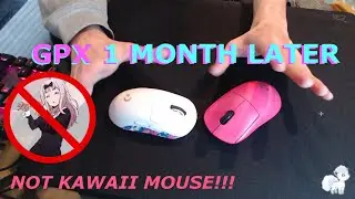 G Pro Wireless Superlight after a month..