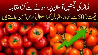 Tomato Crisis in Pakistan: Why Prices Skyrocketed & 5 Best Budget Alternatives!