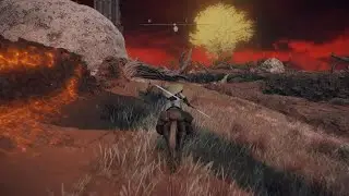 ELDEN RING Cure Scarlet Rot & Get Gold Scarah