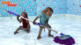 Smart Sam & Asher help Van clean the house