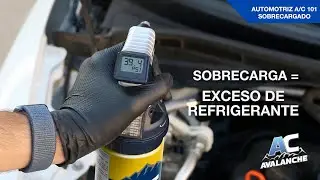 AC 101 - SOBRECARGAR