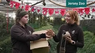BIAZA Secret Santa 2022!
