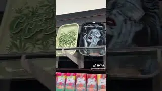 ROLLING TRAYS NOW IN! #follow #comethru #pottstown #smoke #rolling #trays #beyondsmoke #weedchannel