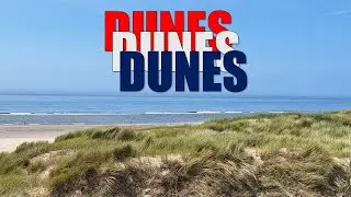 The Hidden Ecosystem Behind Dutch Dunes (Nature Nobody Talks About)