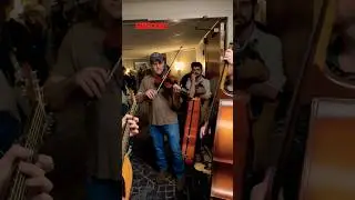 That&rsquo;s What You Get When You Put Bluegrass Musicians Together #shorts