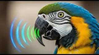 What Are Animals REALLY Saying? Unlocking Their Secret Language!#animalcommunication #animalbehavior