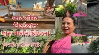 Harvesting Organic Green leaves and vegetables from my home garden 🪴 || আৰু লগতে দিনটোৰ ইটো সিটো🙂&hellip;.