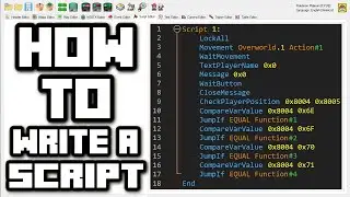 Pokemon DS Scripting Tutorial Ep1: Walking you through my first script!