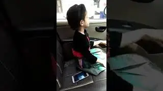 Prnav ka pagalpan