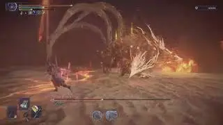 ELDEN RING NIGHTREIGN Everdark Gladius no hit/damage solo (Wylder)