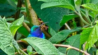 Rogitama #Biodiversity in #boyac&aacute;, #colombia. #travel #travelvlog