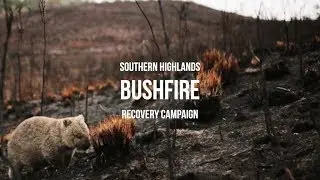 DSH Bushfire Recovery Campaign 2020