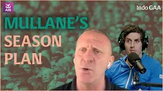 Limerick find their feet | 'Keep four teams after the provincial championships' | John Mullane