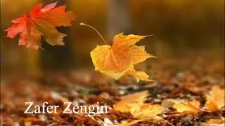 Zafer Zengin - Bugün de dün gibi