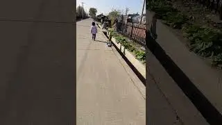 Funny video #1