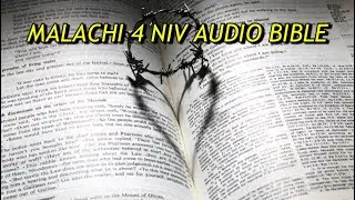 MALACHI 4 NIV AUDIO BIBLE(with text)