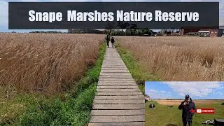 Snape  Marshes Nature Reserve Suffolk