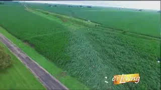 CI Living Tornado Damage Path