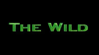 ArcheAge 2.0 - The Wild - DR Arena
