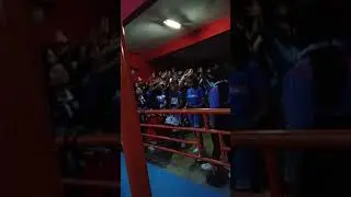 arema nia