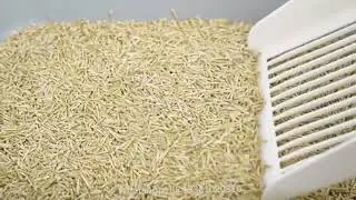Green tea-flavored eco-friendly cat litter