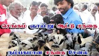 ஆட்டு சந்தை செங்கம் ஞாயிறு #விலை மற்றும் விவரம் /chengam #goat market price details and more details
