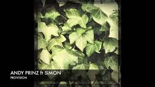 Andy Prinz ft. Simon Provision + Lyrics