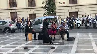 Flamenco Dance, Granada, Spain.  November 12, 2022.
