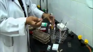 Wet mount preparation