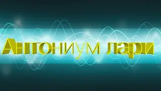 jxjf