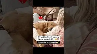 The only person I could blame is myself😞#dog #death #rip #story #mistakes #usa