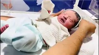 Cute 🥰 baby just come for royal treatment #baby #neonatologist #babybehavior #cute #newborn #newborn