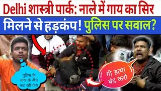 Delhi शास्त्री पार्क: नाले में गाय का सिर मिलने से हड़कंप! पुलिस पर सवाल? Delhi News