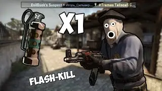 Flash-Kill CS:GO [EvilDuck's Suspect]