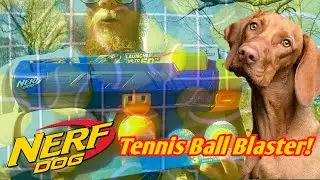 This Nerf Dog Toy shoots WHAT??? | Nerf Dog Tennis Ball Blaster Play Test!