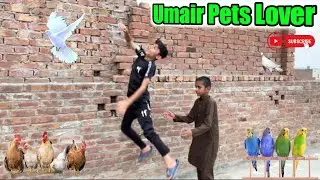 Kabeer nay kiya  bohat bora prank😱#village #funny #desi #pigeon #pets #uamir pets lover