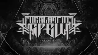 QUANTUM HIERARCHY - NEUTRON BREED (OFFICIAL ALBUM PREMIERE 2018) [EVERLASTING SPEW RECORDS]
