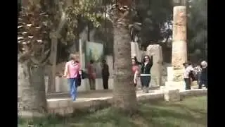 Day Tour to Alexandria City from Port Said