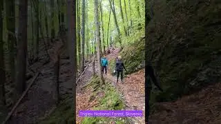 Slap Pericnik, Triglav National Forest, Slovenia
