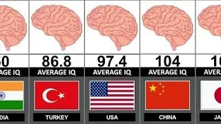 Мировой рейтинг IQ | Объявлены самые умные страны