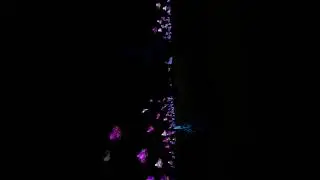 Northern Lights Heaton Park 2