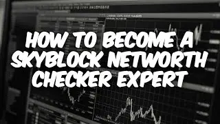 How To Become A Skyblock Networth Checker Expert