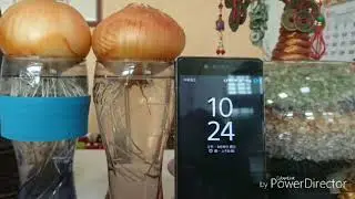 onion 60sec