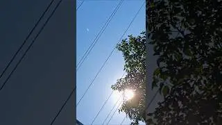 In 2025 sun  could destroy earth : 🌎 #shortfeed #shorts