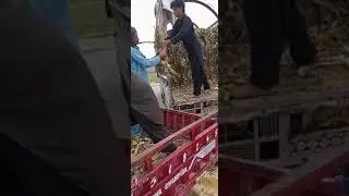 G 1lehsan Thom new waraity(2)